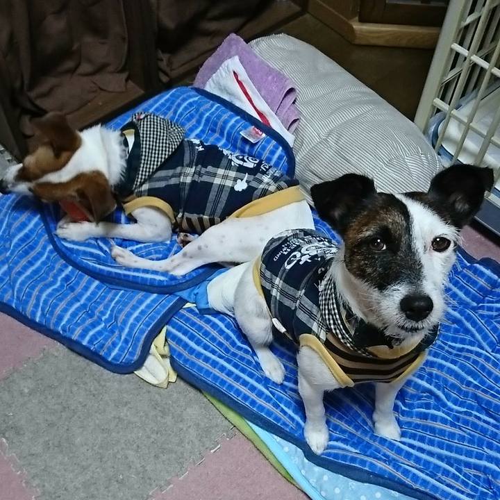 6d20ca47 99d8 46c3 ad67 229df988d946 1531346158235