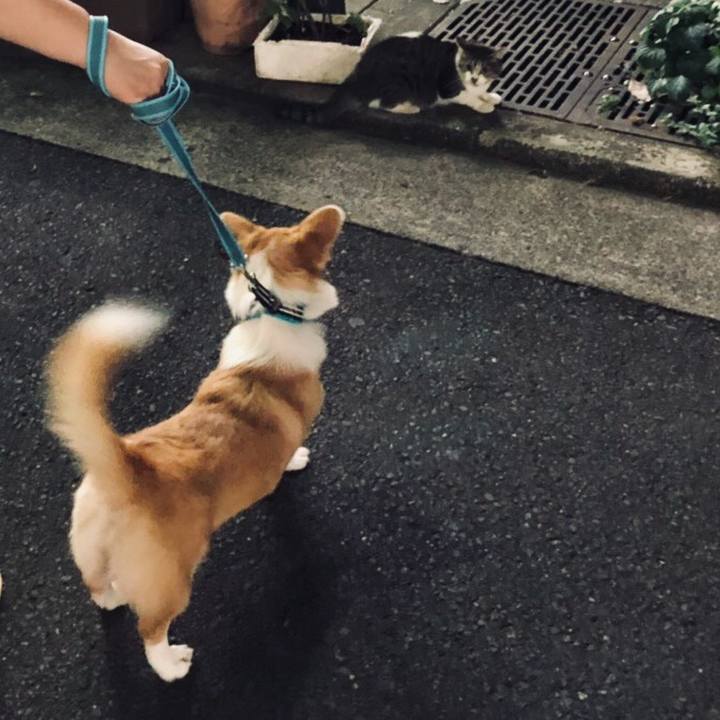 6d210a43 9b0f 41b6 91b6 d602df33a9df 1565828231486