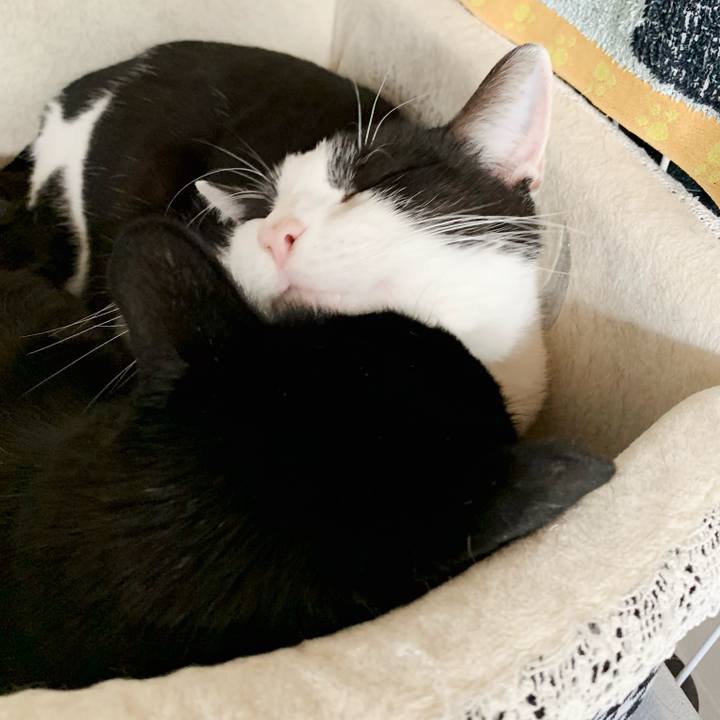 6d211af0 13f8 44d6 a972 d3590b3b3ff9 1543368031454