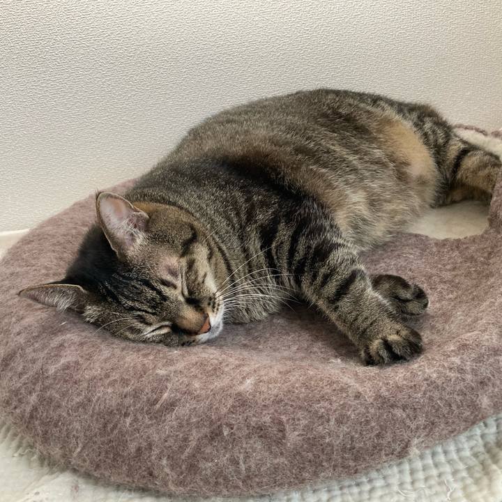 6d2127a6 b94e 4768 9efb b9ece8f8b4f6 1759105078895