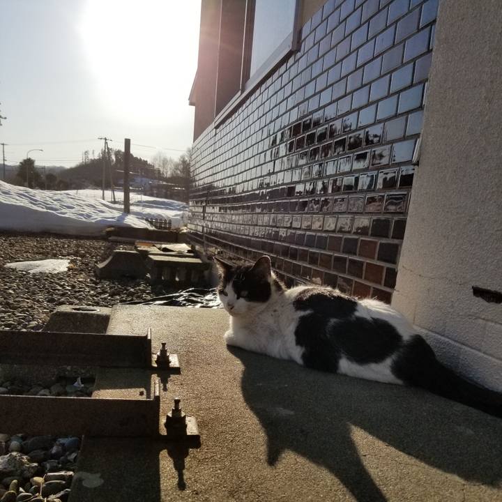 6d218251 8641 45b6 b002 8efde9c95da8 1585654884895