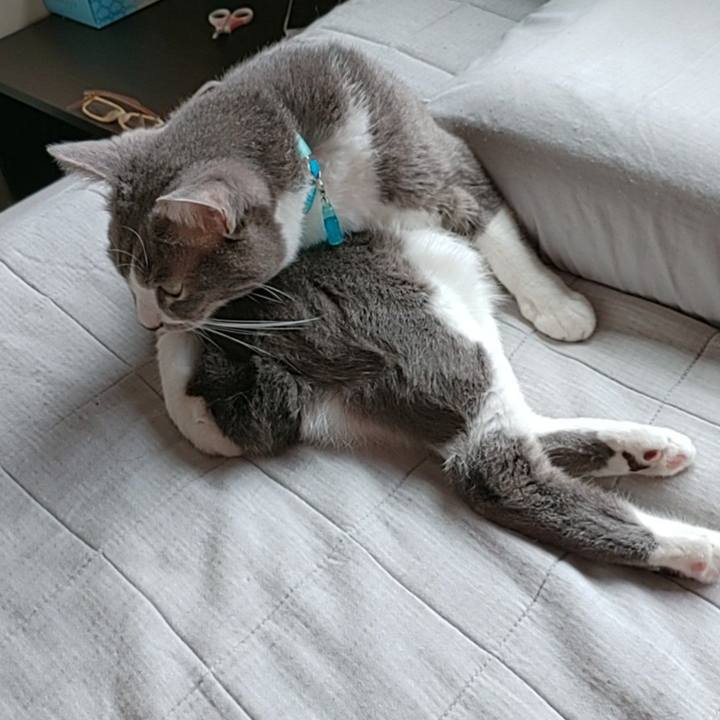 6d21827b f629 4eca b009 0417e0587f04 1662182860396