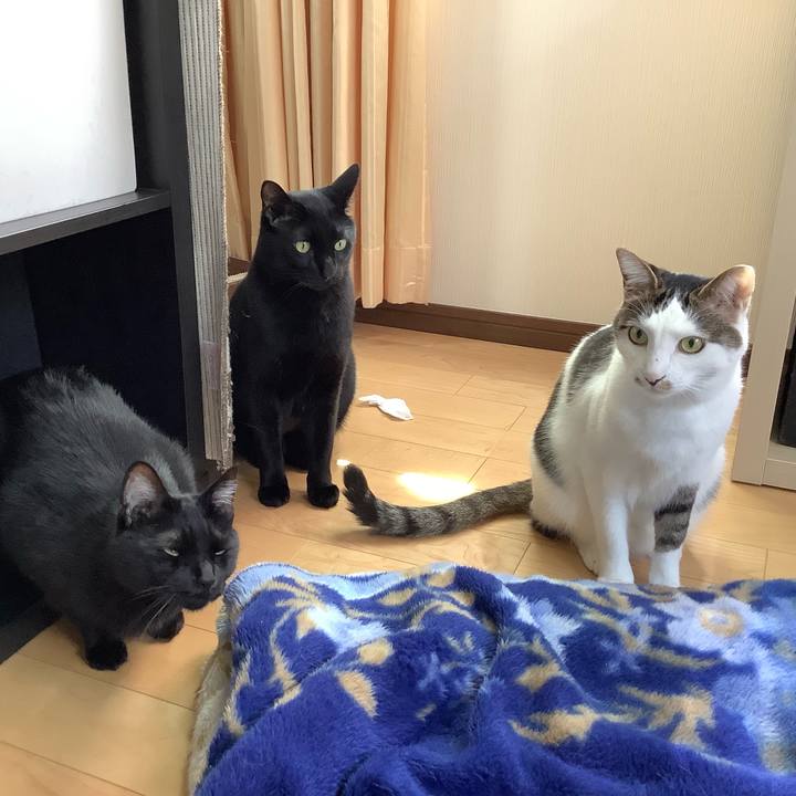 6d21aaf0 3362 45ee 9340 329341f2ffc3 1556675183489