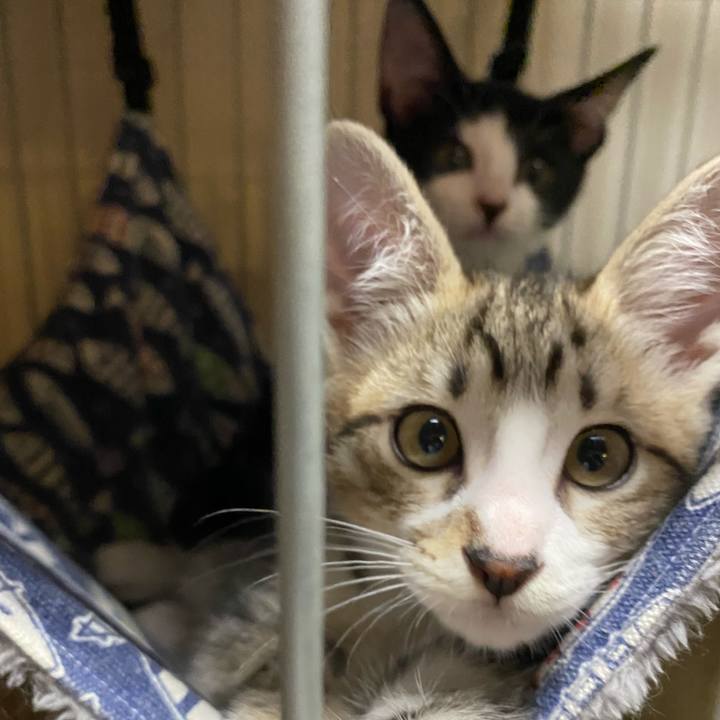 6d21ddd3 a37d 4759 bfdc 5f72f10ea2af 1625826219596