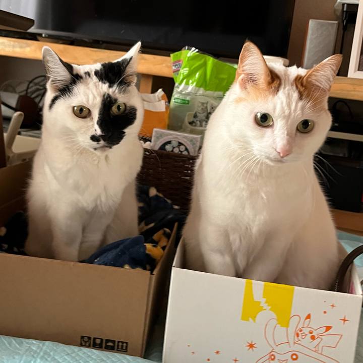 6d21e39f 37dd 47d8 9ce2 6cd963dcd03c 1765618748190