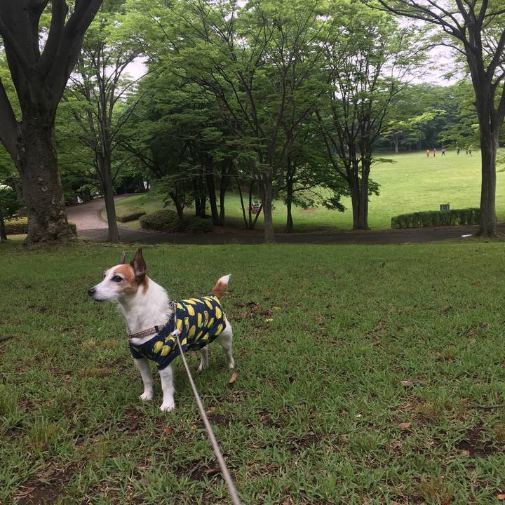 6d21ef6b 84c1 4659 bffe 443d212dfbb5 1621644958006