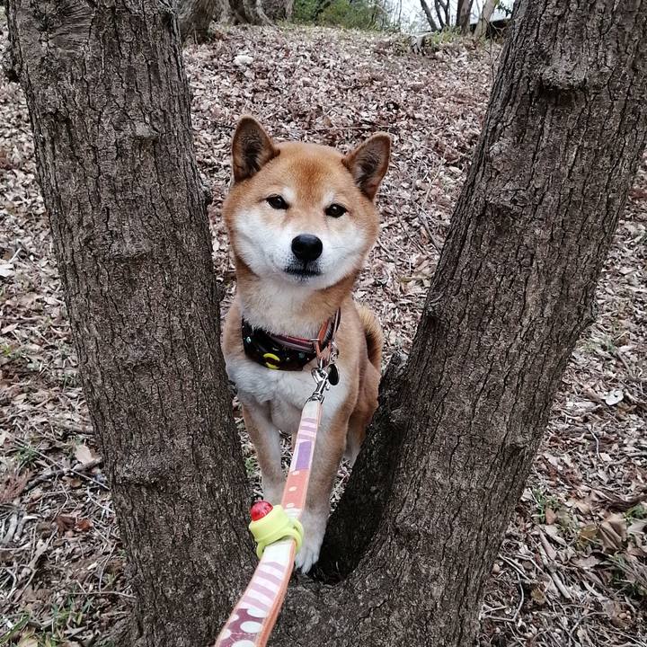 6d21fecb b08c 4c5d 858b 966f731530b4 1582614656915