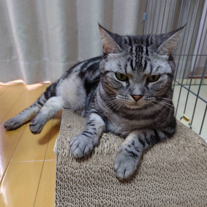 6d2210b0 282e 4f3a 8c99 9e7cf812700a 1632617788995