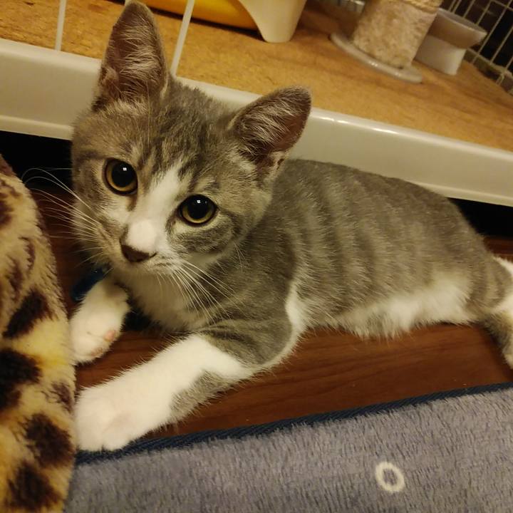 6d221475 5d81 460c bc53 d6cd0ccc0bbb 1564411525962