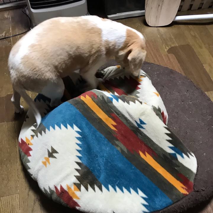 6d223518 7240 4f7d 8a10 1304a3b8093a 1551058286587