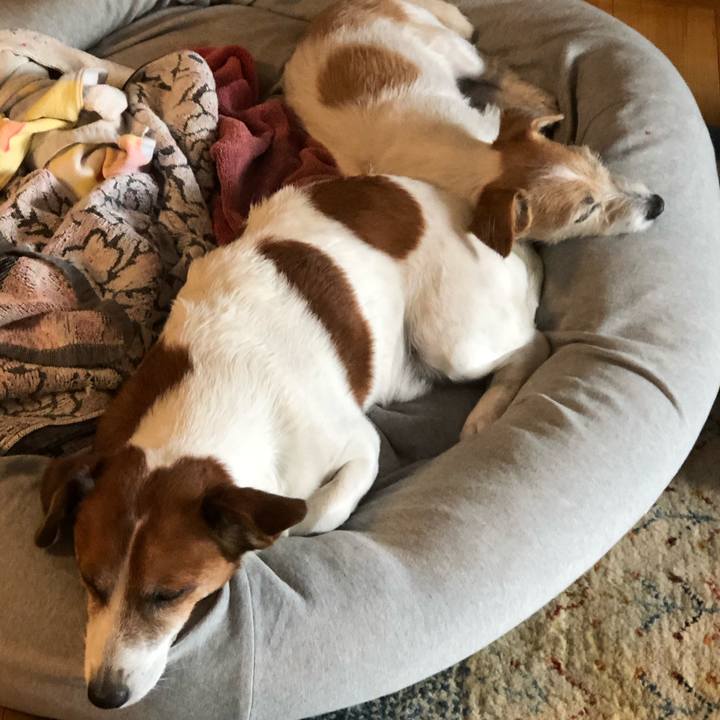 6d2251ca d0f8 4c90 a5ae 4406bd857334 1604900914242