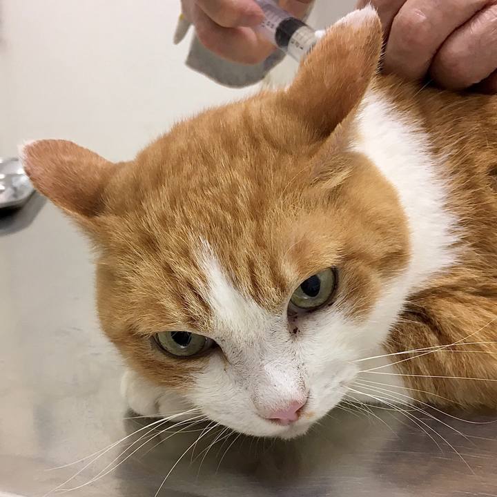 6d2259b5 d57a 429f a1e3 e95d3ddbcdd4 1572608002828