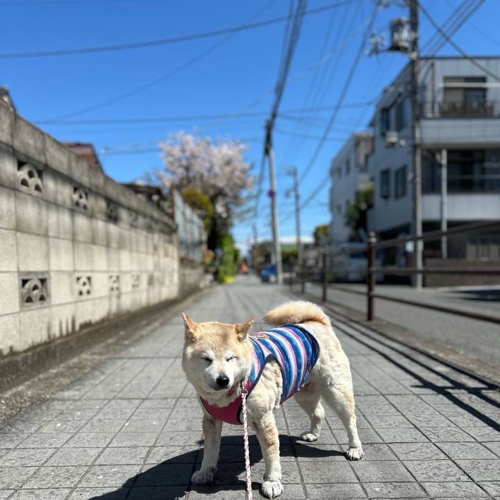 6d227102 8e7a 40a6 a6b2 efac9a02682a 1744164633050