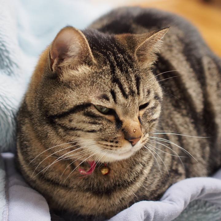 6d227366 006d 4688 90e1 318b53e65d8c 1589537271191