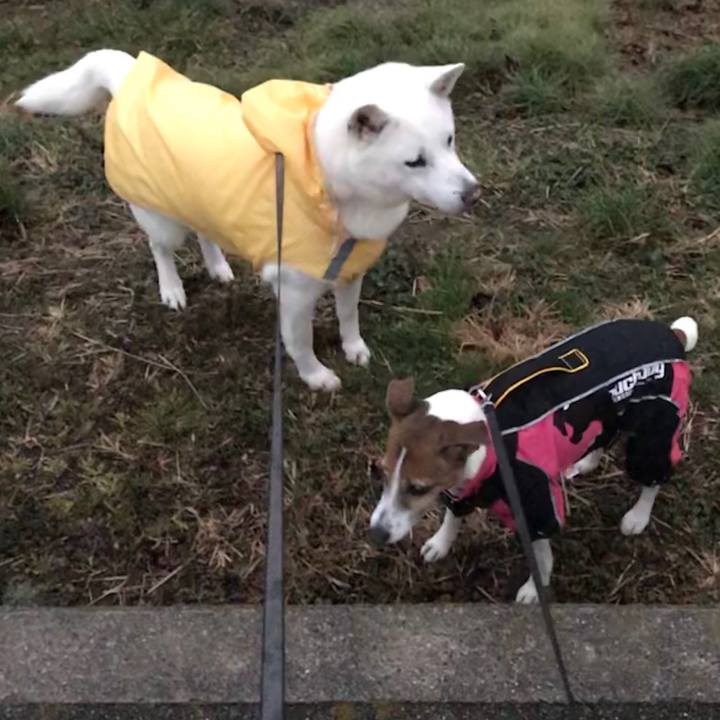 6d22790d 0b9c 4c3e 8184 c80278b1e3a1 1518254557581