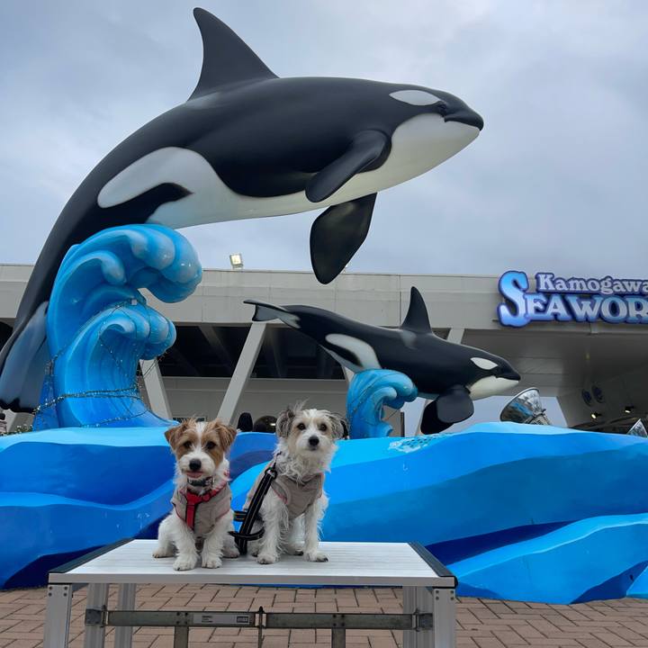 6d227d50 d70c 4b0e 8bd8 2e8b1a889c99 1771335968394