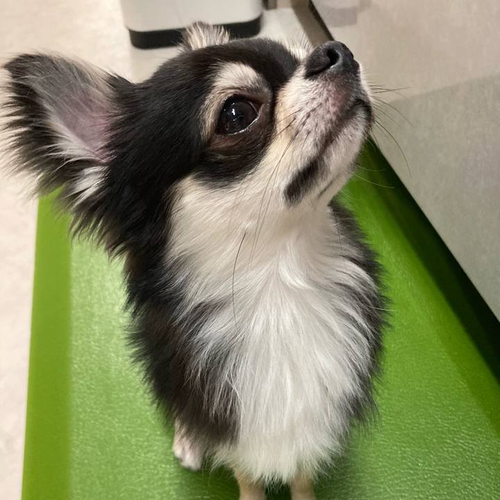 6d228a4f 521b 49dc 8321 57bb69482cf7 1621777929572