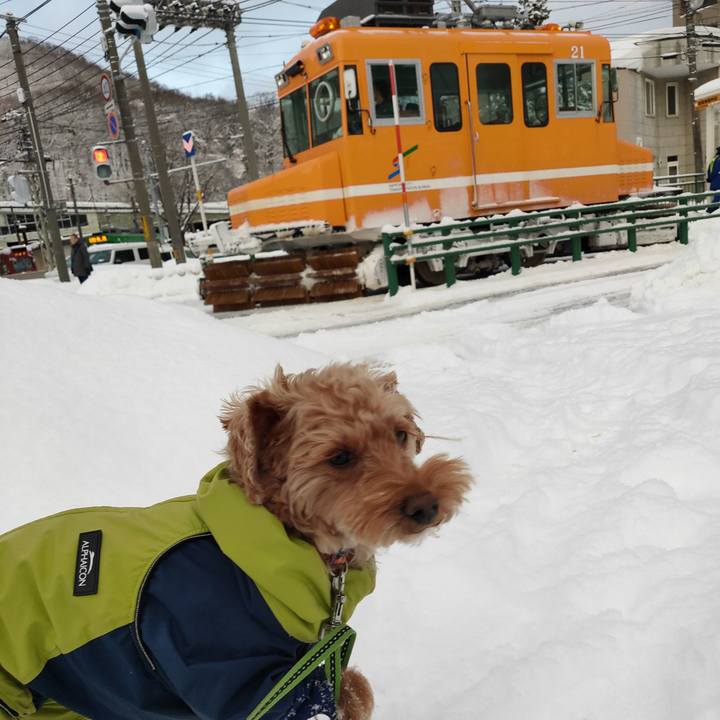 6d2294d2 4b74 4867 be40 907ccac6ddc0 1582065141882