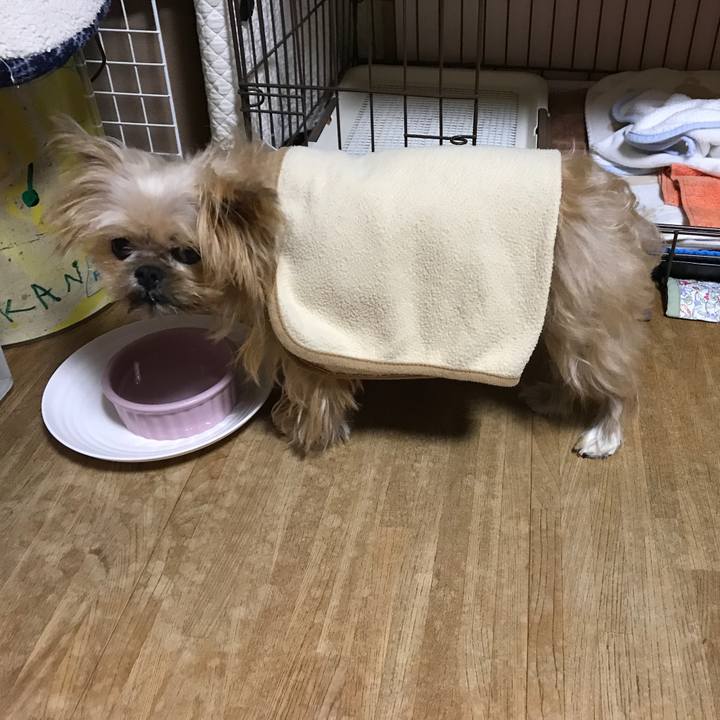 6d22b719 b70e 467f 8e46 ade132a3591a 1575376976742