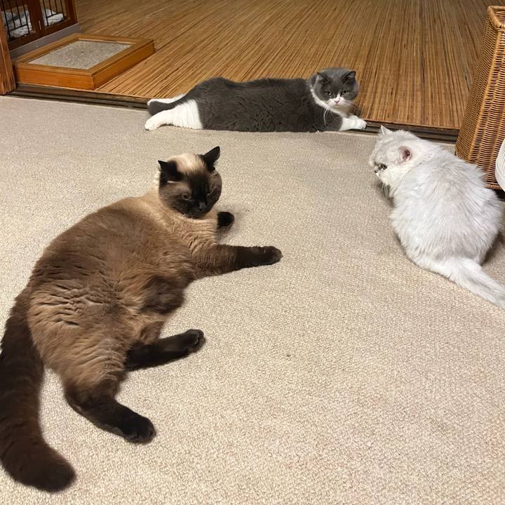 6d22ce16 eef8 4689 8614 8687e492fbea 1720152245659