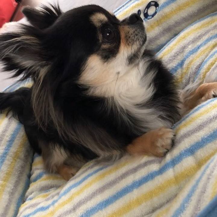 6d230d39 66be 42df 924e a70cd042d559 1590305902777