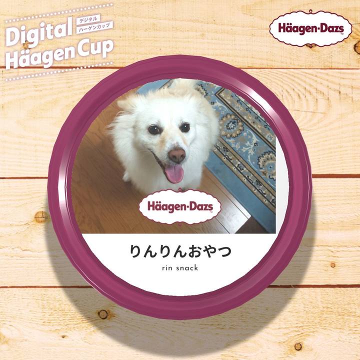 6d2328c6 06d3 448b b6e7 75c9c532d8cd 1608348253454