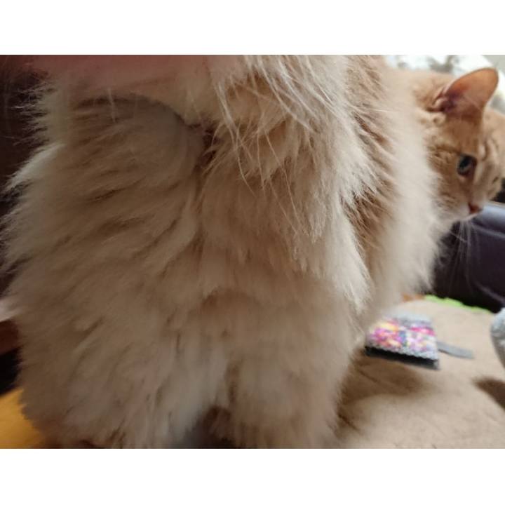 6d23531f 2553 46c7 82a2 d97135445cc8 1580188349359