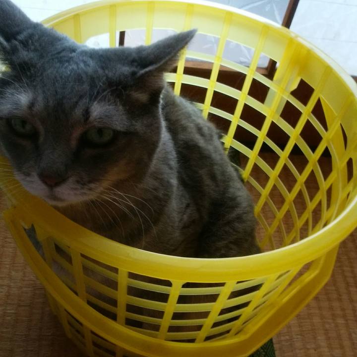 6d23638a da86 41b3 b73c 09d27d0434df 1534240642734