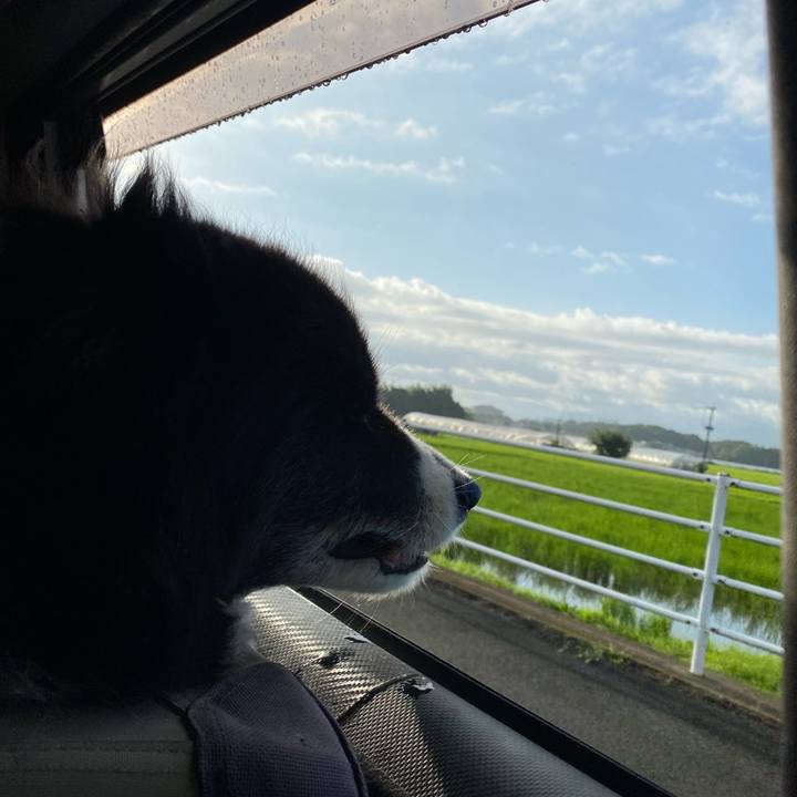 6d239025 1dad 4010 a7d0 f54e65f41b1f 1691705247861