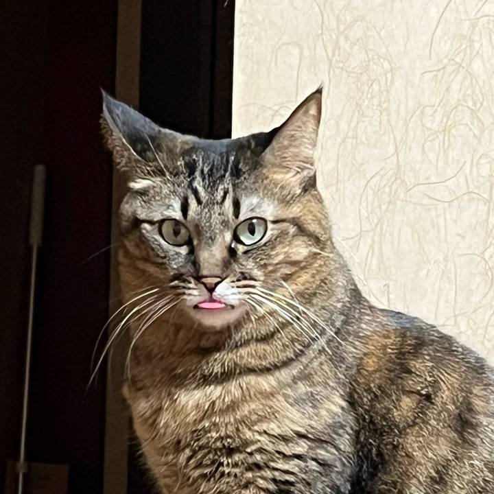 6d23a480 3c26 440d a7d0 d9ec9a0b593e 1675774901708