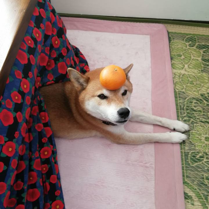 6d23b095 3e41 4173 ad53 29224fba9f1f 1672749683240