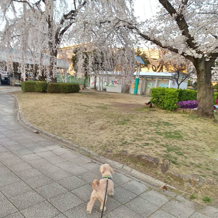 6d23f5d9 3831 4476 863b 8fa2f8cd89b1 1585221082058