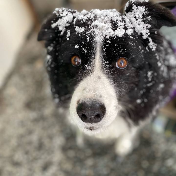 6d240869 c960 4b29 b686 f0c81b161ad1 1671323656212