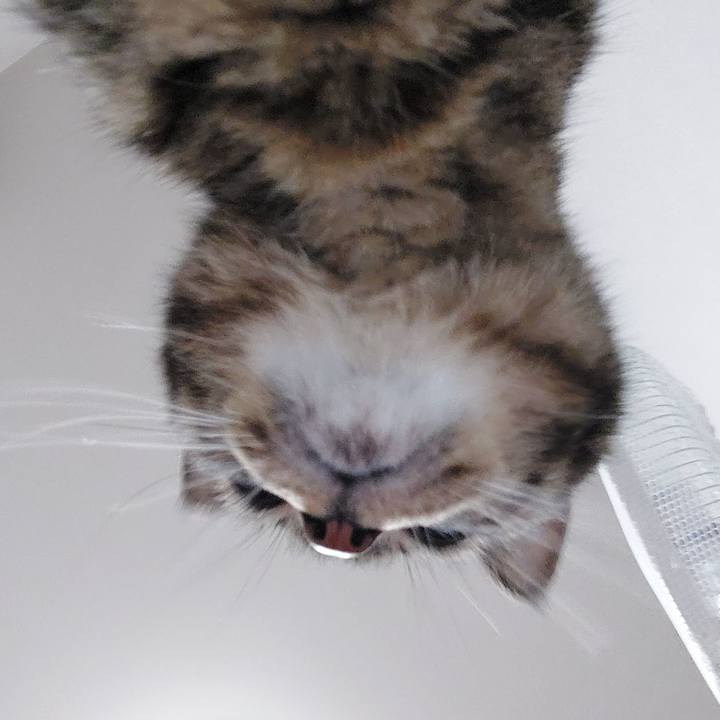 6d240a67 c80f 4155 9303 714ca20677c1 1630372164344