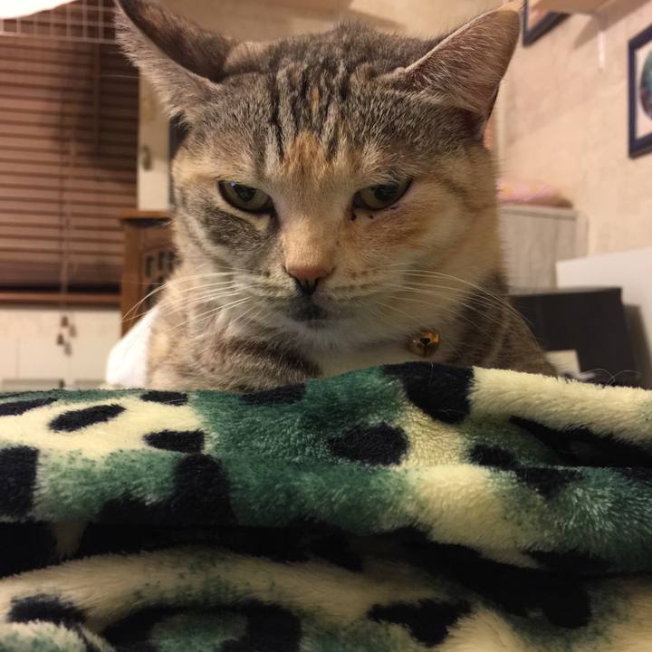 6d2415e2 8e59 4ca6 8517 dd0d5c815ab1 1549547722794