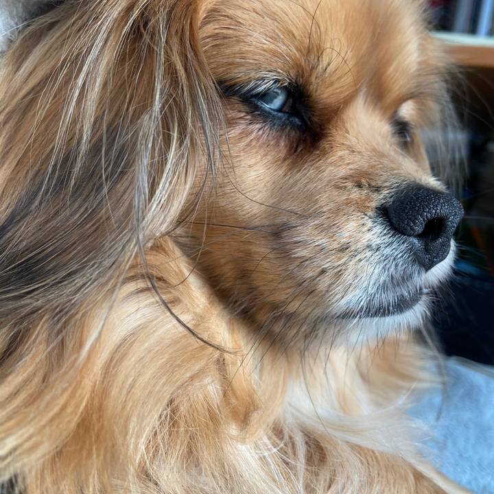 6d24235b d5e5 4084 b4a5 ffc4f21bbd8d 1645234586494