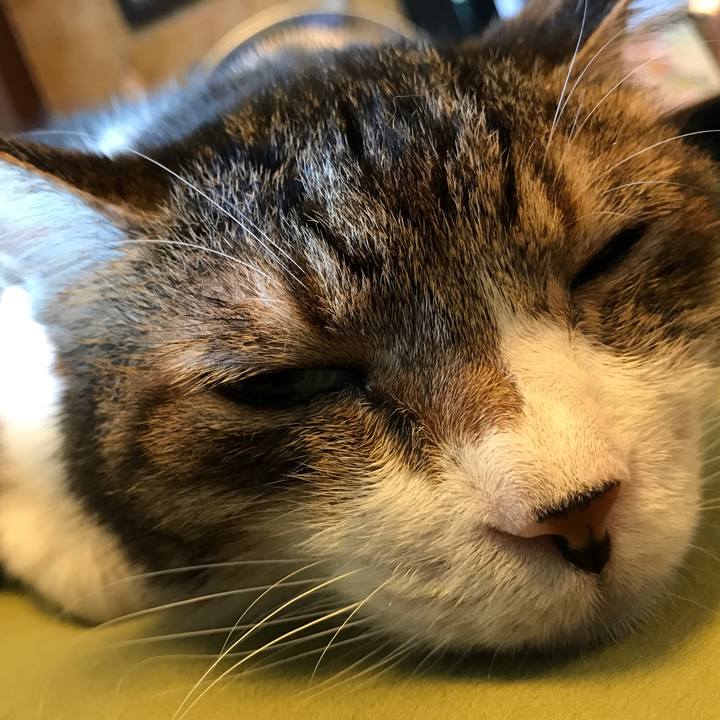 6d2504c0 7d30 48cd 93a7 b51c0e96a818 1562398830696