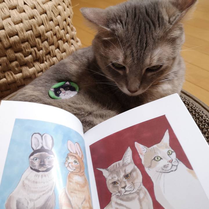 6d251f00 b907 4b47 9ba1 0422889d2870 1573477563816