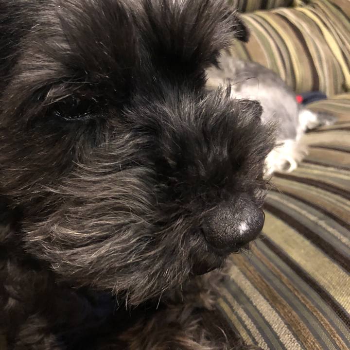 6d254efa 29d9 44a5 8840 4991990f65cc 1523478522081