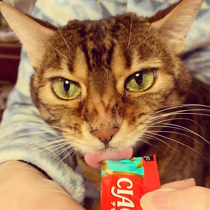 6d25df2b 6619 4b1b 8d51 3973ca75647f 1611613434580