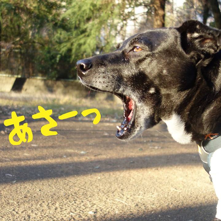 6d25dfa3 ced8 4bc5 84ed 16d360907f72 1704587583384