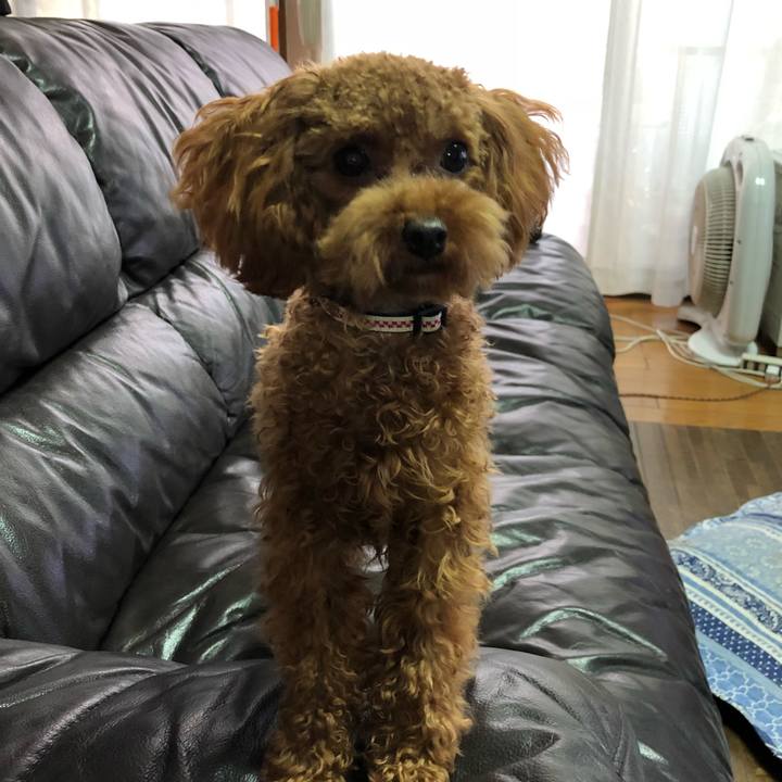 6d260fc4 119f 4cfc b24d 052fef73a9af 1511516067504