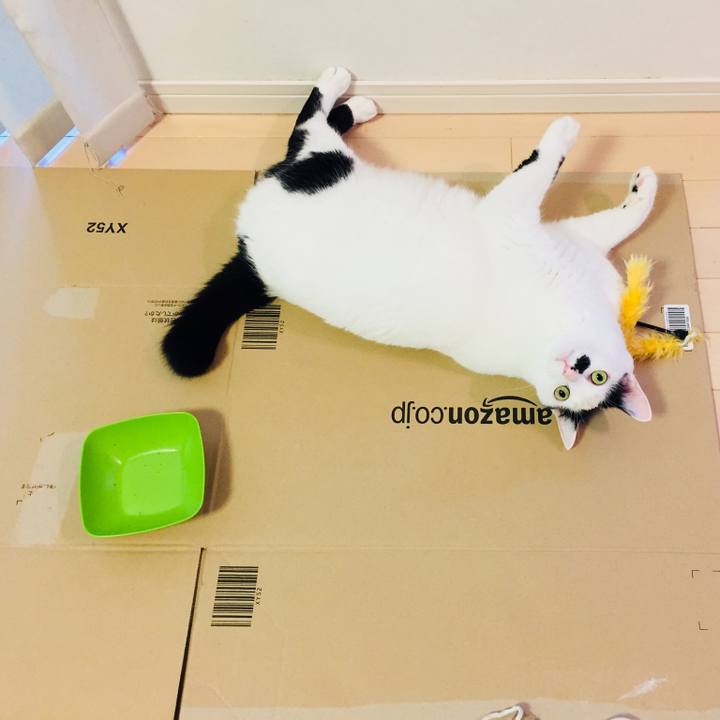 6d261491 f372 4e3d b1b2 e20e9157b6ca 1530139128291