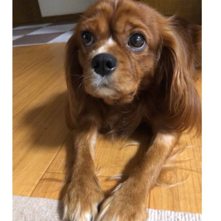 6d262984 0d1b 4ec5 9837 06c835267af8 1567030207507