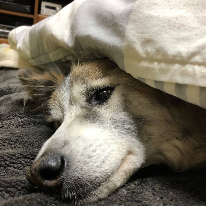 6d264479 288f 454a 8db3 f52c2f57d4d9 1519860836471