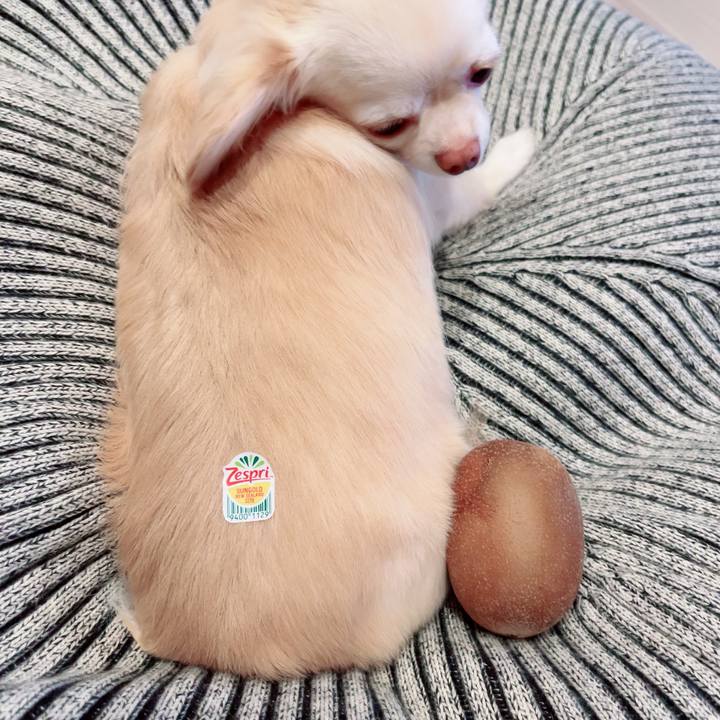 6d26485a 6bf7 47ad 9271 ececffa32a2d 1694520188702