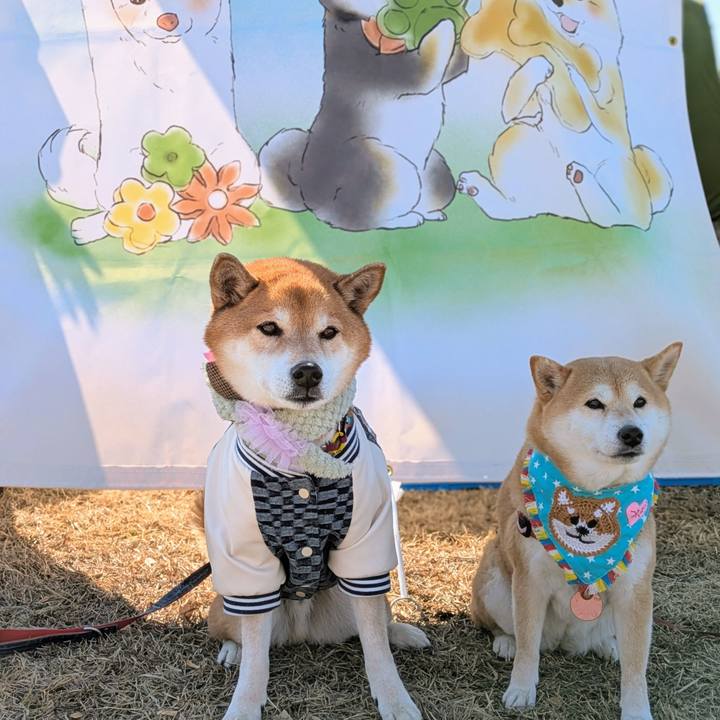 6d26645b ebac 47fe 92e2 2266d5260869 1737214971541