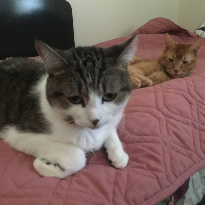 6d266ccf 23c4 4440 9426 bb1149a9bca2 1635123261347