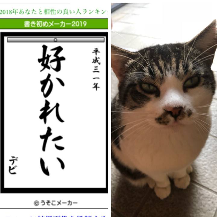 6d266da4 9a1e 4ab9 a18b 3b08877a5043 1546601646779