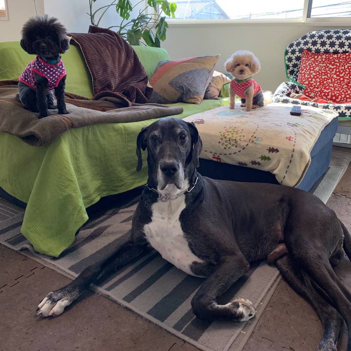 6d26d87a 9aaa 48c1 a602 96342675a4ec 1554936756331